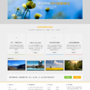 Salongweb thumb