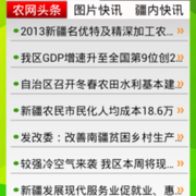 图片12 thumb