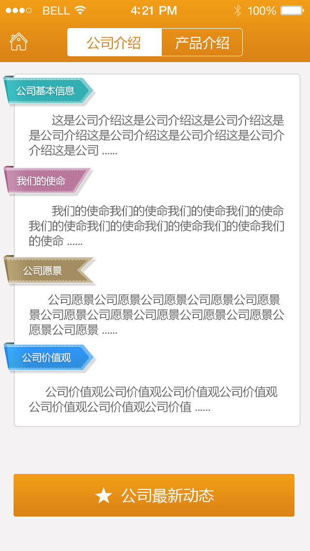 Z17公司介绍