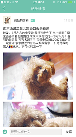 Petworld5