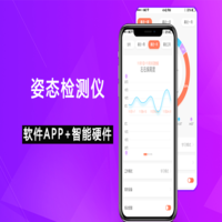 姿态检测仪