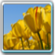 Netpart