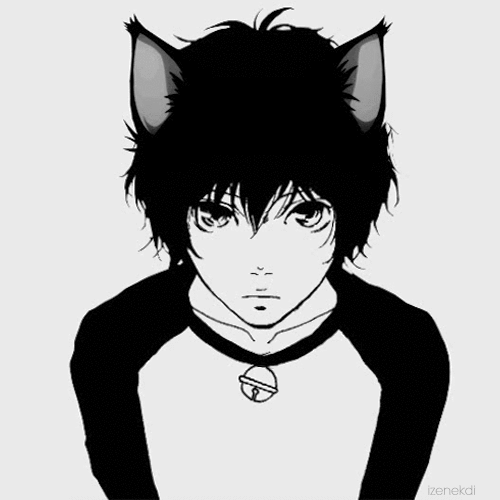 Kevinlinkai