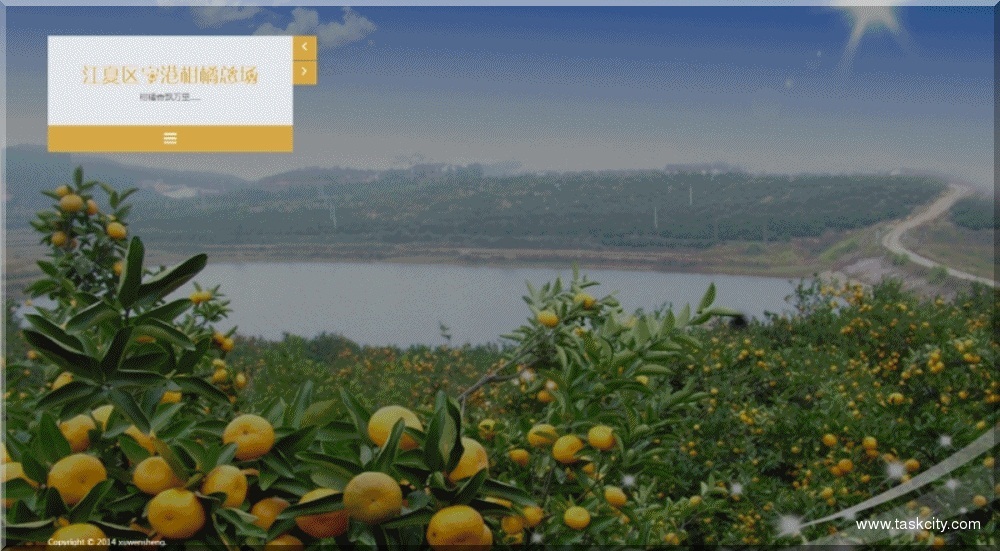 网站改版前台ui设计